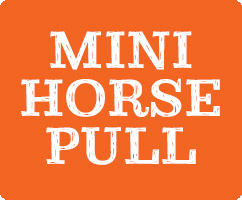 Mini Horse Pull